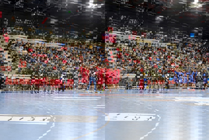 3012 9 Handball Zvg29