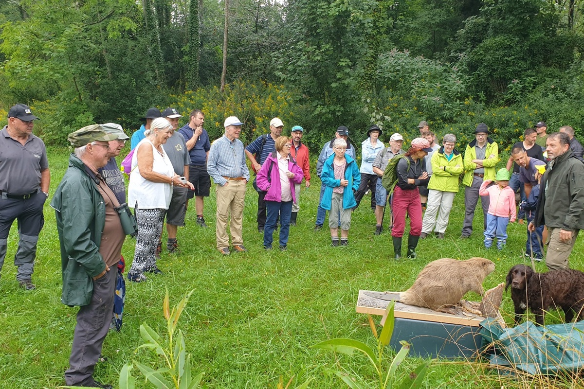 Die beiden sind oft gemeinsam unterwegs fürs Thurgauer Forstamt: Hund Jaro und Biber Helga beim Wochenendeinsatz in Niederneunforn. Die beiden sind oft gemeinsam unterwegs fürs Thurgauer Forstamt: Hund Jaro und Biber Helga beim Wochenendeinsatz in Niederneunforn.