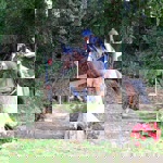 0710 9 Reiten Lif7