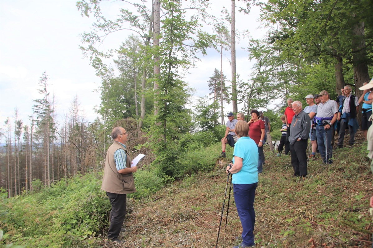 Förster Hans Beereuter (links) führte die interessierte Bevölkerung durch den Wald und zeigte unter anderem auf