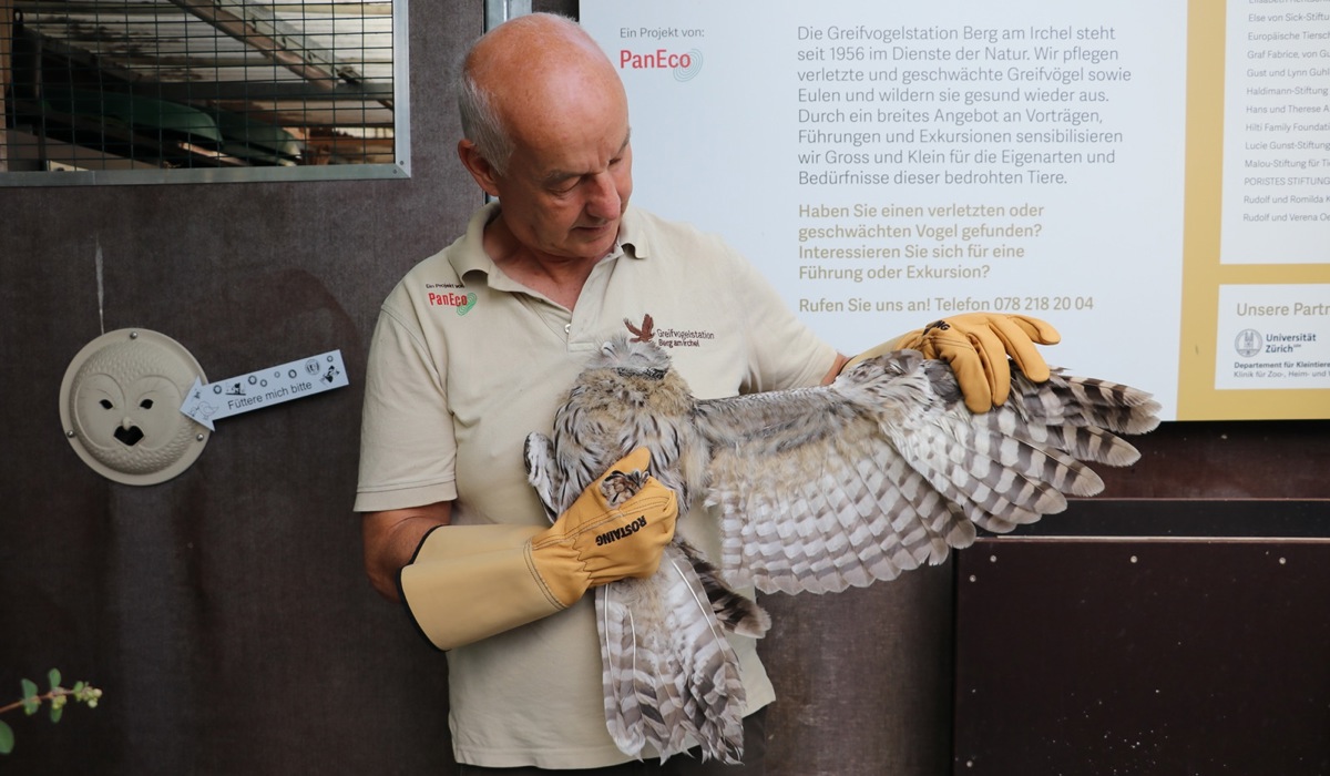 0707_1_habichtskauz-greifvogelstation-andi-lischke_jbe.jpg 0707_1_habichtskauz-greifvogelstation-andi-lischke_jbe.jpg