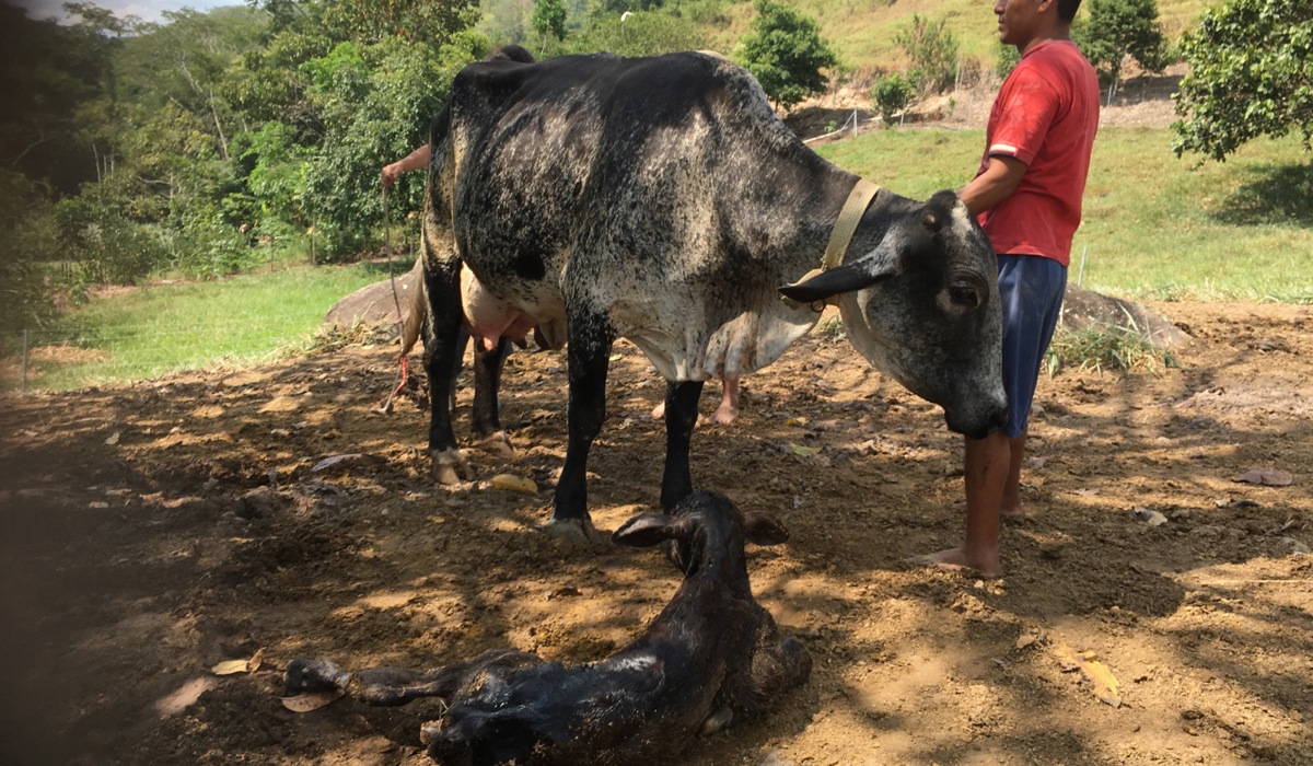 kuh_025.jpg kuh_025.jpg