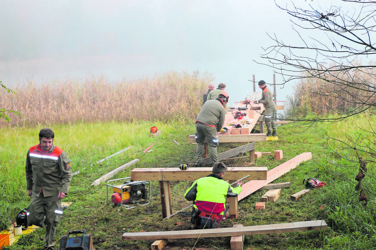 Angeleitet von den Gemeindewerkmitarbeitern ersetzen die Zivilschutz-Dienstpflichtigen den morschen Badesteg am Südufer des Husemersees. Angeleitet von den Gemeindewerkmitarbeitern ersetzen die Zivilschutz-Dienstpflichtigen den morschen Badesteg am Südufer des Husemersees.