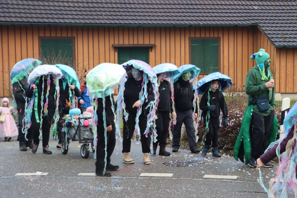 2001 1 Hilari Feuerthalen Quallen St18Aus der Tiefe an die Oberfläche.