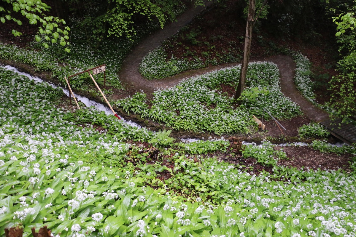 Es grünt im Tobel des Schlossparks. Das Kunstwerk «Handschuh»