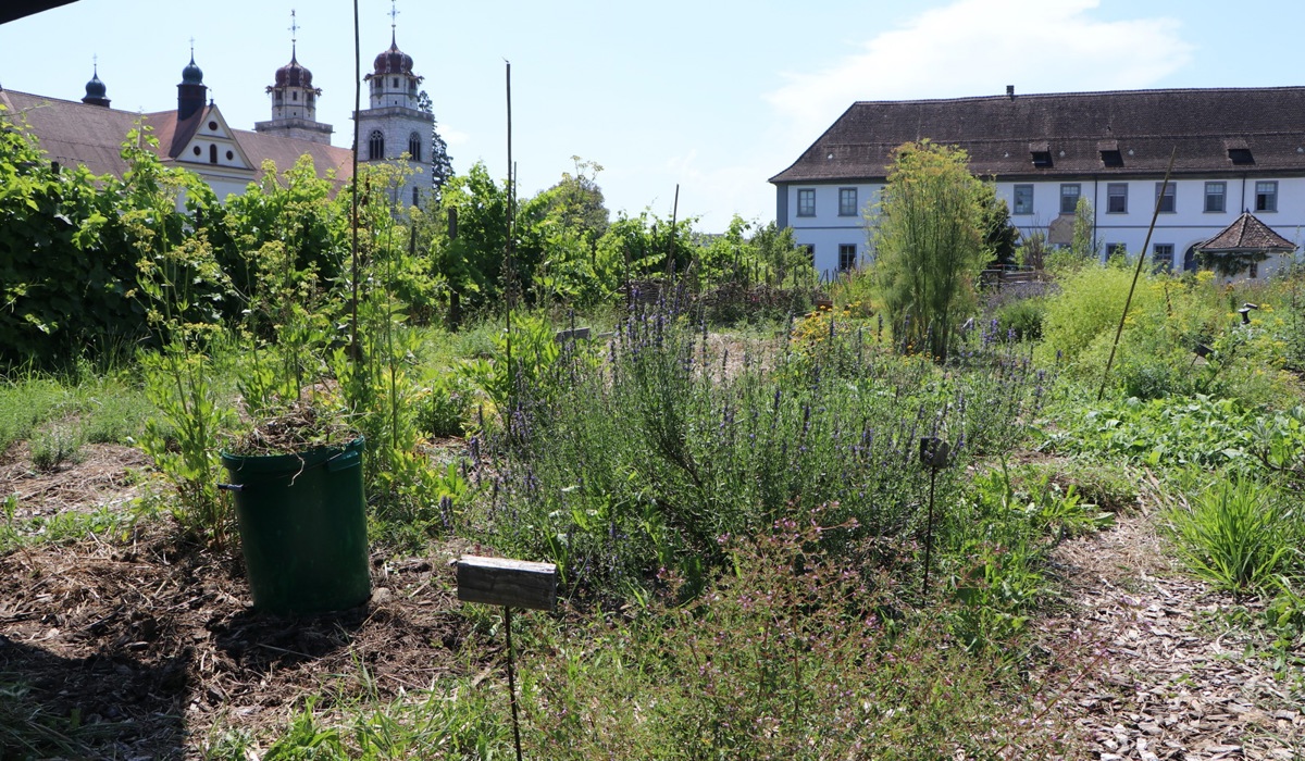 2_1508_9_permakultur_geplantes-durcheinander_bsc.jpg 2_1508_9_permakultur_geplantes-durcheinander_bsc.jpg