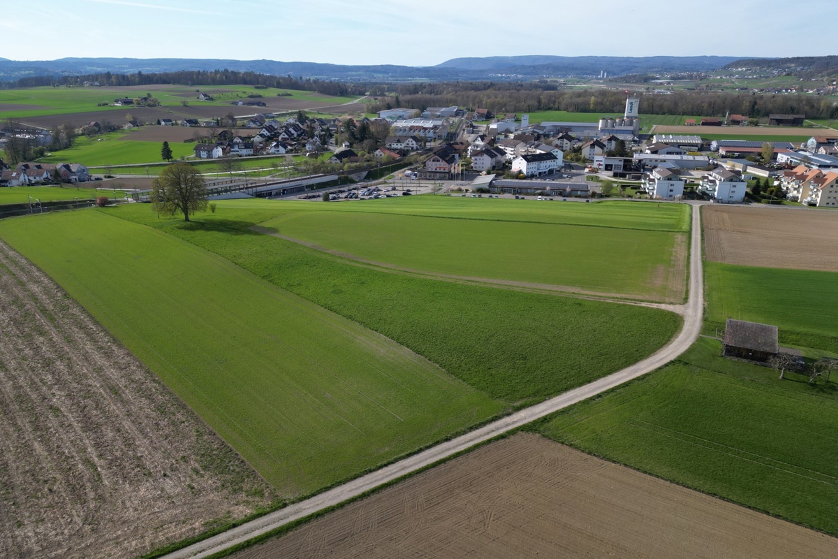 Auf dem Fleudebüel ist eine Aufwertung zu einer trockenen Magerwiese geplant, wie sie früher im Kanton Zürich weit verbreitet waren, jedoch durch Düngung in artenarme Futterwiesen oder in Ackerflächen umgewandelt wurden.
