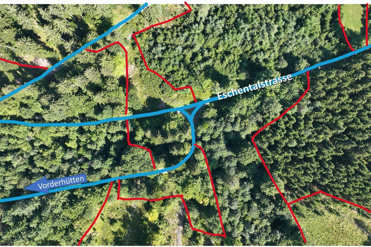 Auf dem Drohnenfoto sind die Teilflächen der Bestandeskarte (nächstes Bild) rot nachgezeichnet. Aufgrund des etwas anderen Blickwinkels ergeben sich leichte Verzerrungen. Auf dem Drohnenfoto sind die Teilflächen der Bestandeskarte (nächstes Bild) rot nachgezeichnet. Aufgrund des etwas anderen Blickwinkels ergeben sich leichte Verzerrungen.