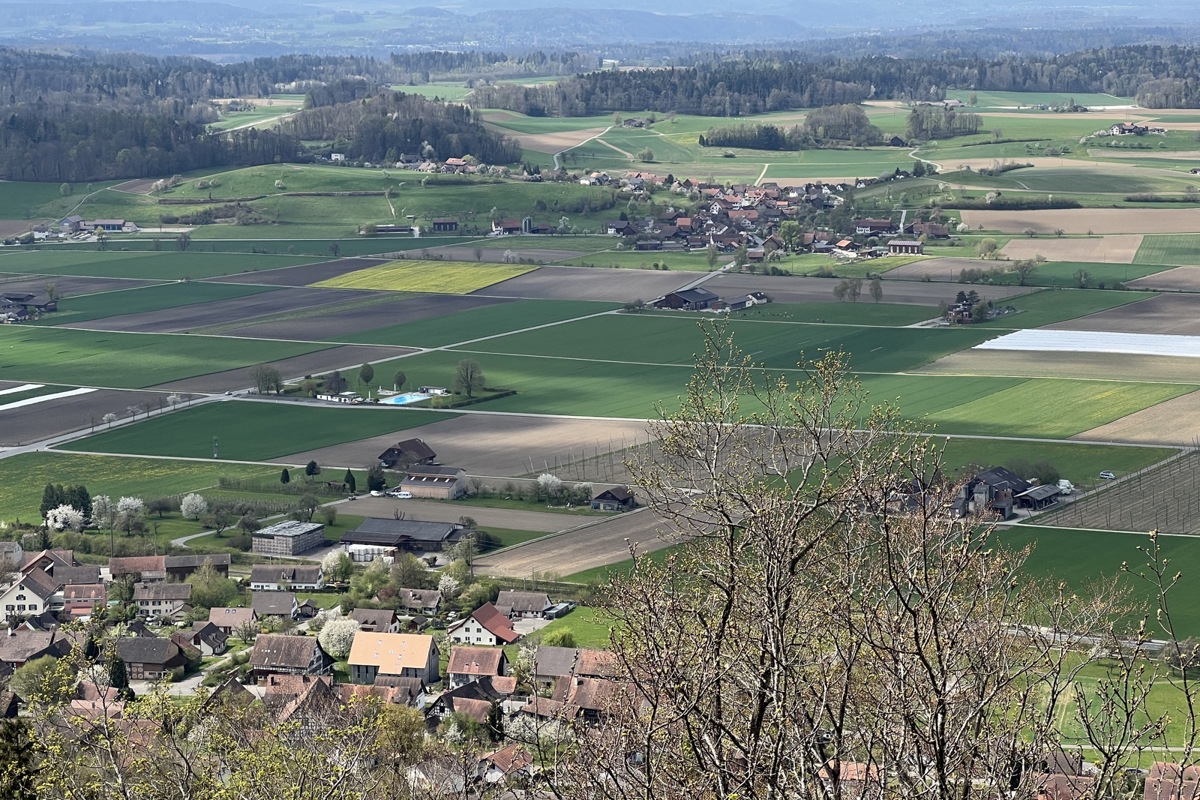 Blick vom Turm Vorderhütten auf Guntalingen, am Horizont ist der Irchel zu erkennen. Stammheim schrieb 2023 das grösste Plus im Bezirk.