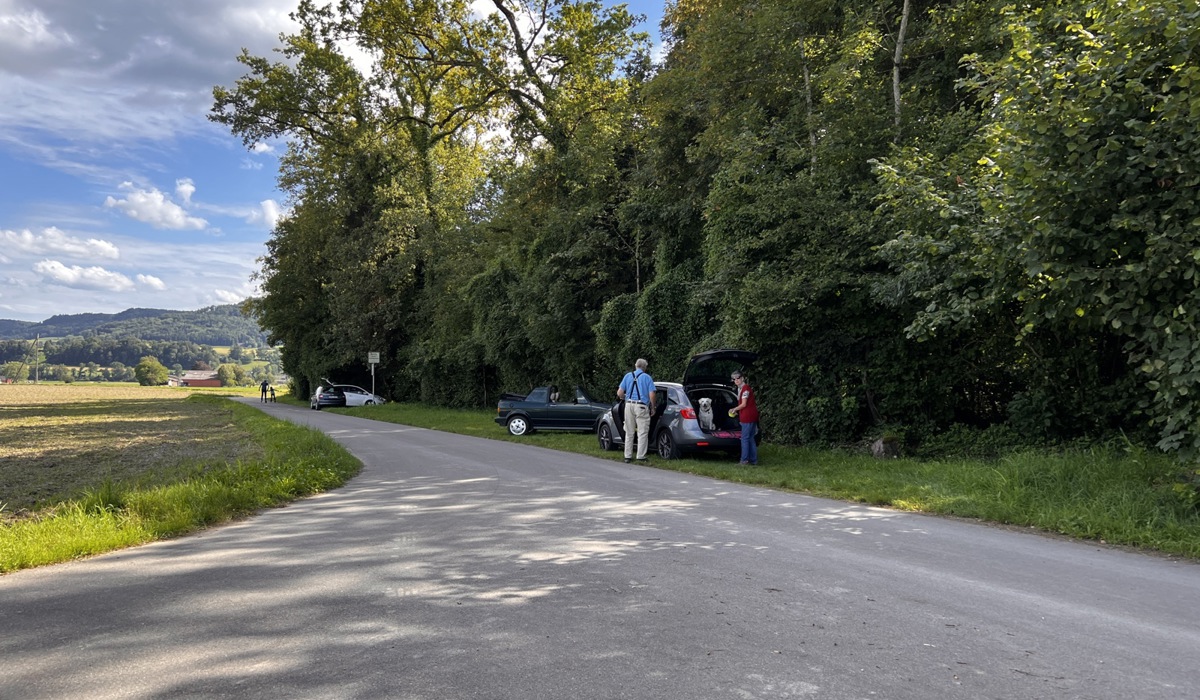 1108_1_flaach_thurauen_parkplatz_forenau_spa1.jpg