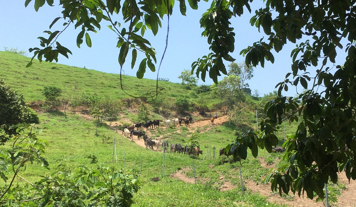 feld_064.jpg feld_064.jpg