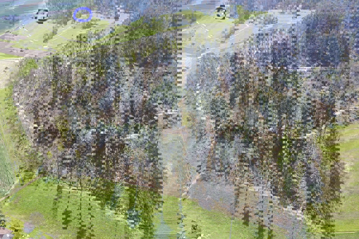 Zwischen Henggart und Humlikon