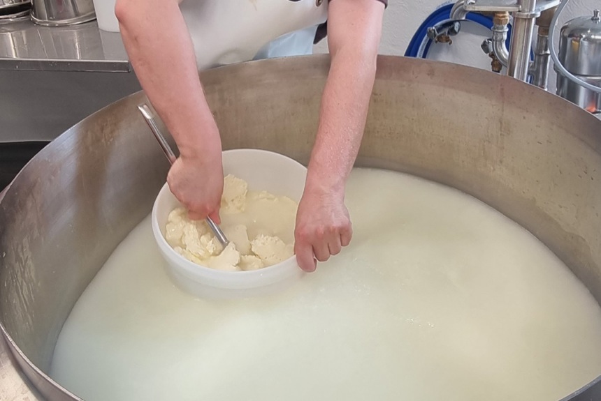 Kaese Mozzarella Bergkaeserei Marbach Jin11