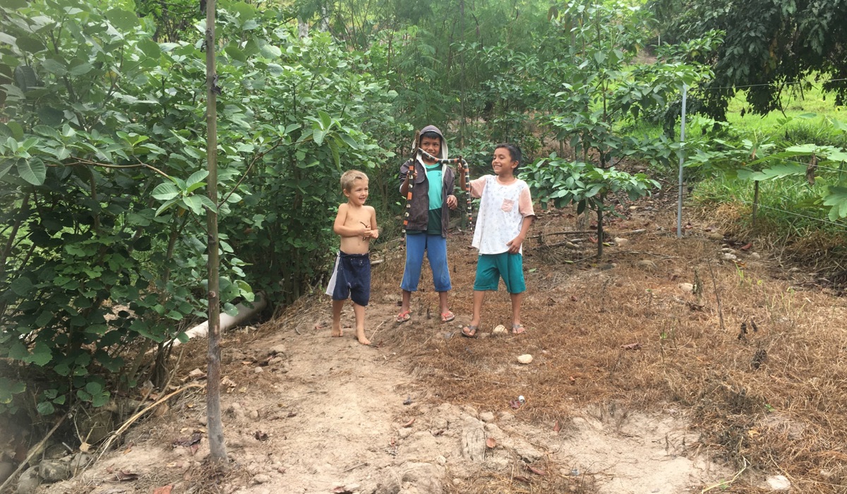 spielen-mit-schlange3.jpg spielen-mit-schlange3.jpg