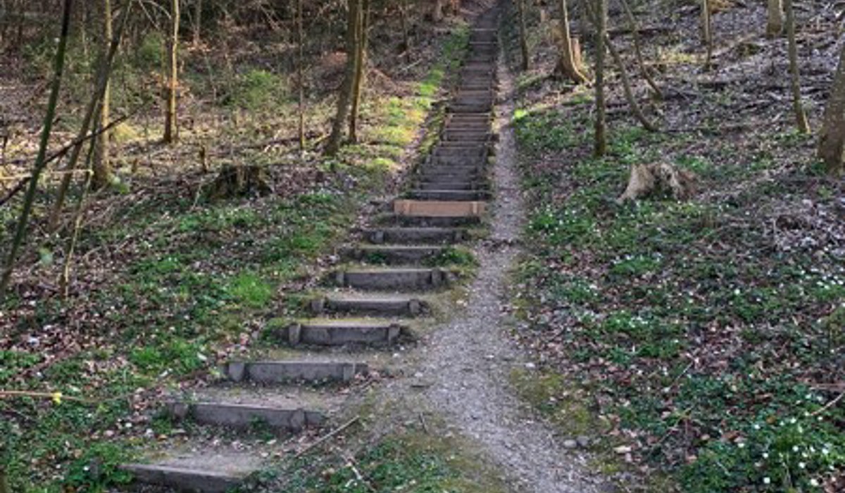 2104_7_vitaflaachtreppe_sm11.jpg