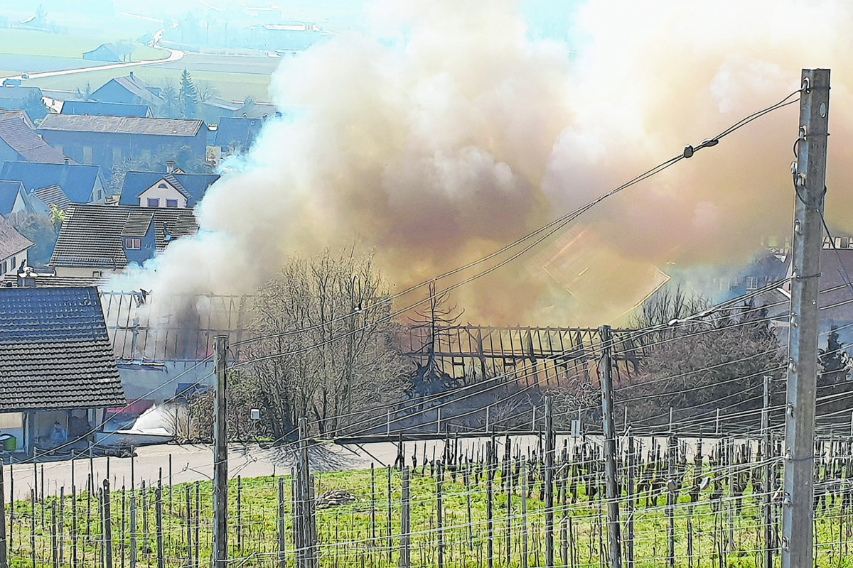 Der Brand in Oberstammheim im März 2022 führte bei der Kantonalen Gebäudeversicherung zum fünfthöchsten Schadensbetrag infolge Feuers.