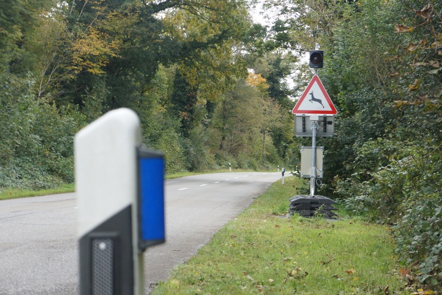 1010 1 Rheinau Wildwarnanlage Spa14 1010 1 Rheinau Wildwarnanlage Spa14