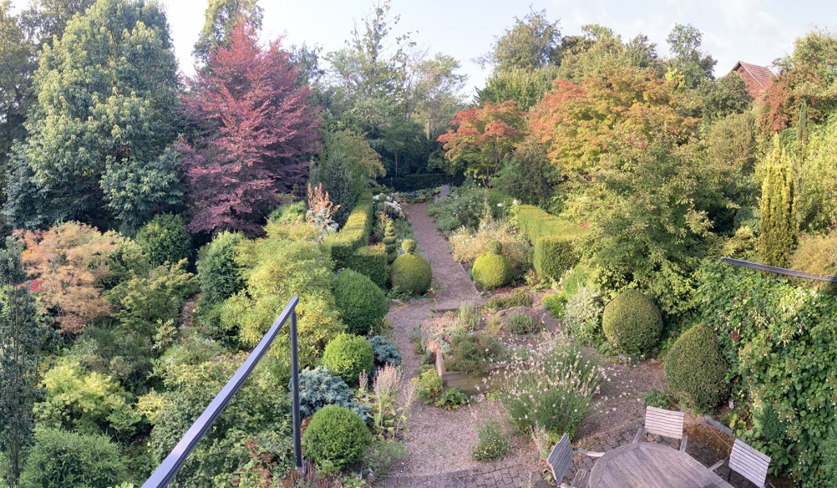 1807_7_garten_scalabrin_alten4_sm19.jpg 1807_7_garten_scalabrin_alten4_sm19.jpg