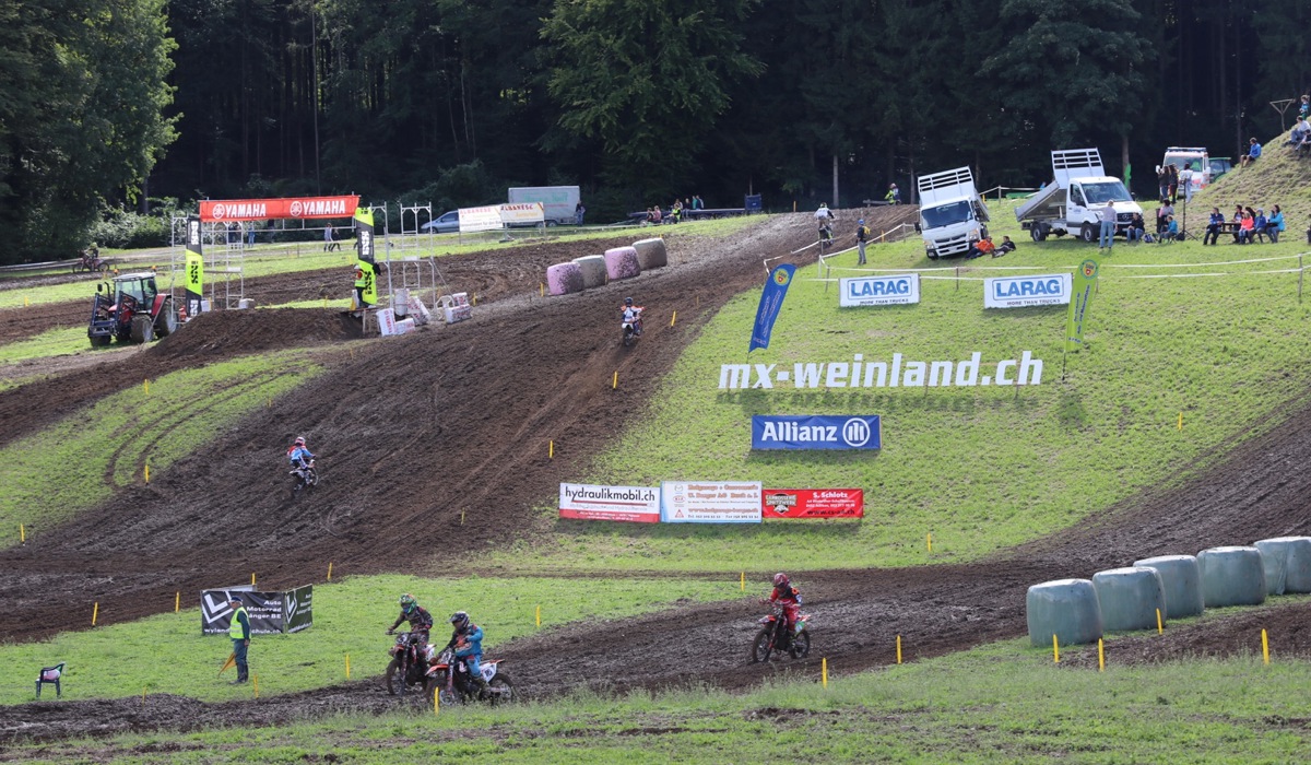 0803_mxweinland_archiv.jpg 0803_mxweinland_archiv.jpg