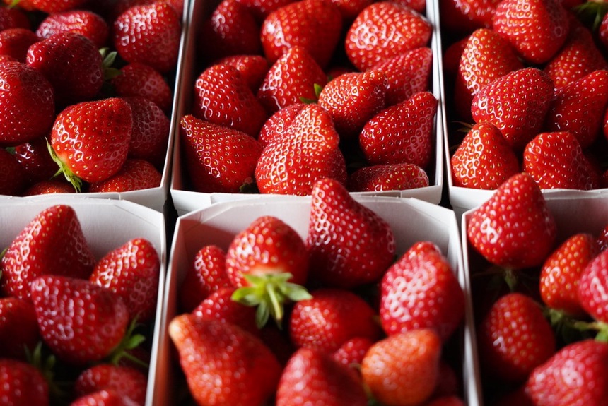 2705 1 Erdbeeren Obstverband2