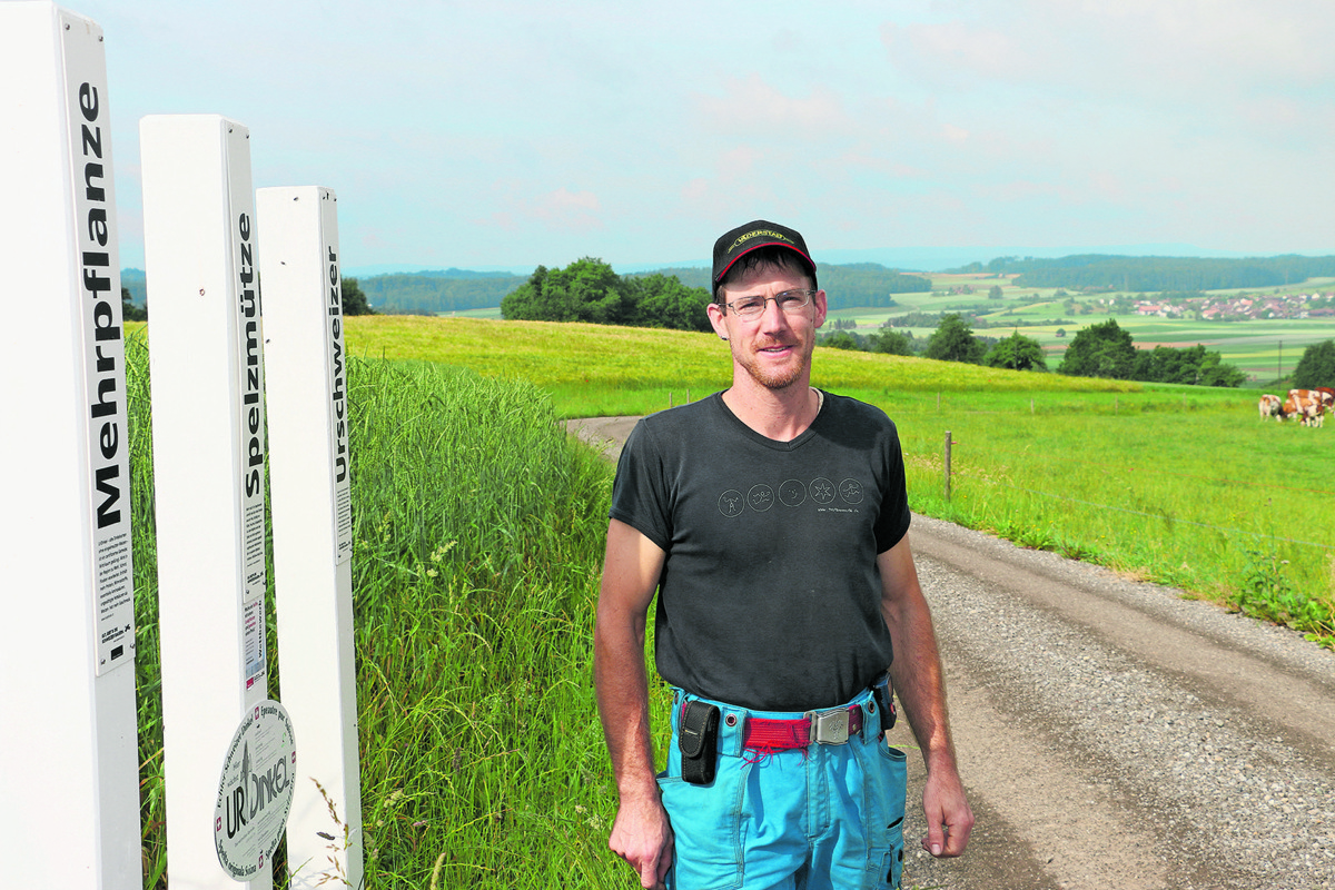 Res Moser aus Oberstammheim gehörte vor einigen Jahren noch zu den einzigen Landwirten im Weinland mit Lockpfosten. Das hat sich geändert. So gibt es dieses Jahr unter anderem in Uhwiesen und Ossingen Lockpfostenwege.