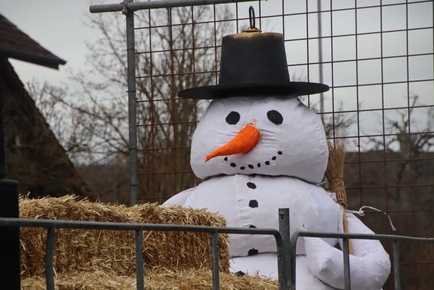 Marthalen Fasnacht 2026 Umzug Bögg
