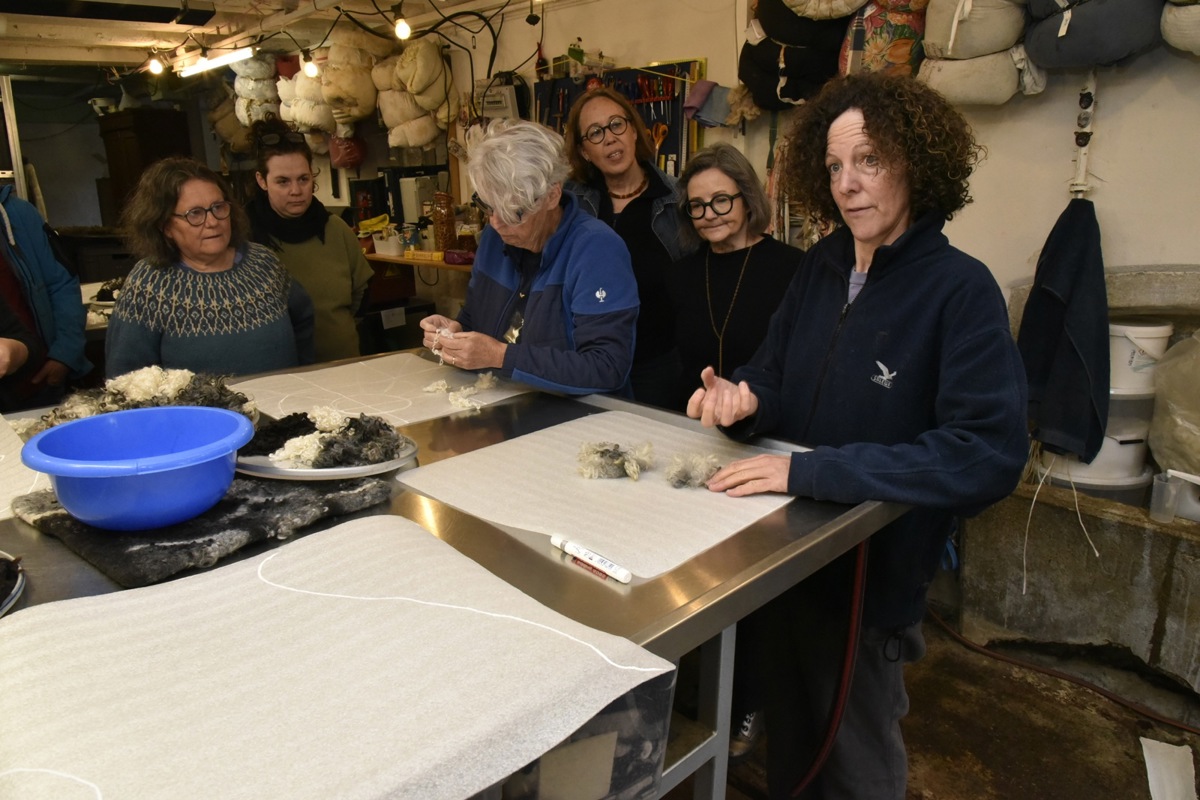 Die seidig-lockige Wolle ihrer Lämmer hatte Sabin Imhasly im Gepäck mitgebracht und zeigte den Teilnehmerinnen an einem Workshop in der Fellfilzerei in Desibach, wie sie daraus eine Kissenhülle als Hohlkörper filzen können.