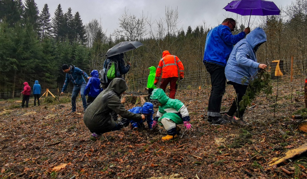 4_insgesamt-kamen-im-rahmen-der-aktion-270-eichen-zusammen-die-im-uhwieser-wald-ein-neues-zuhause-erhielten_jbe.jpg 4_insgesamt-kamen-im-rahmen-der-aktion-270-eichen-zusammen-die-im-uhwieser-wald-ein-neues-zuhause-erhielten_jbe.jpg
