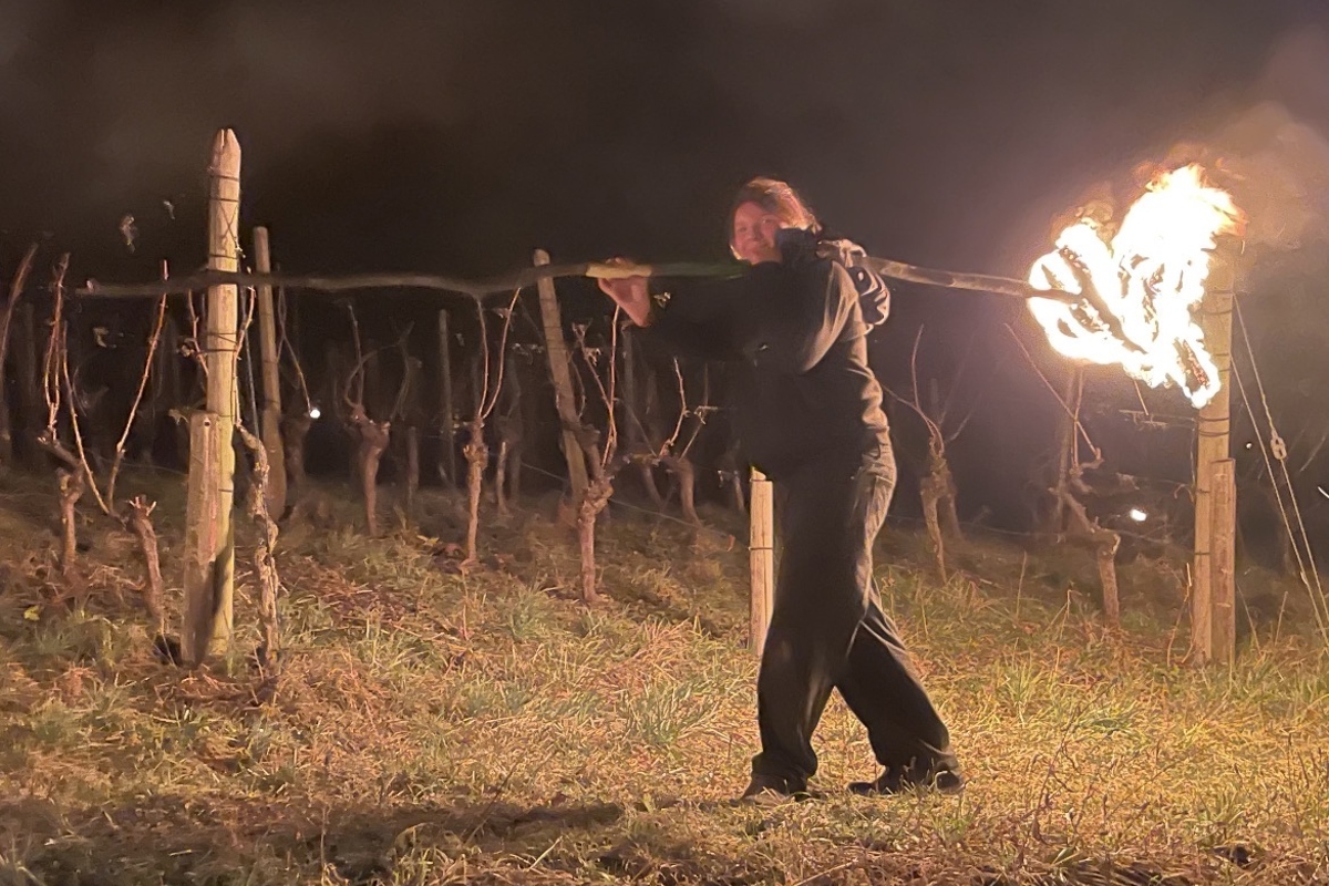 Am Sonntag wurden die brennenden Fackeln durch den Rebberg getragen.