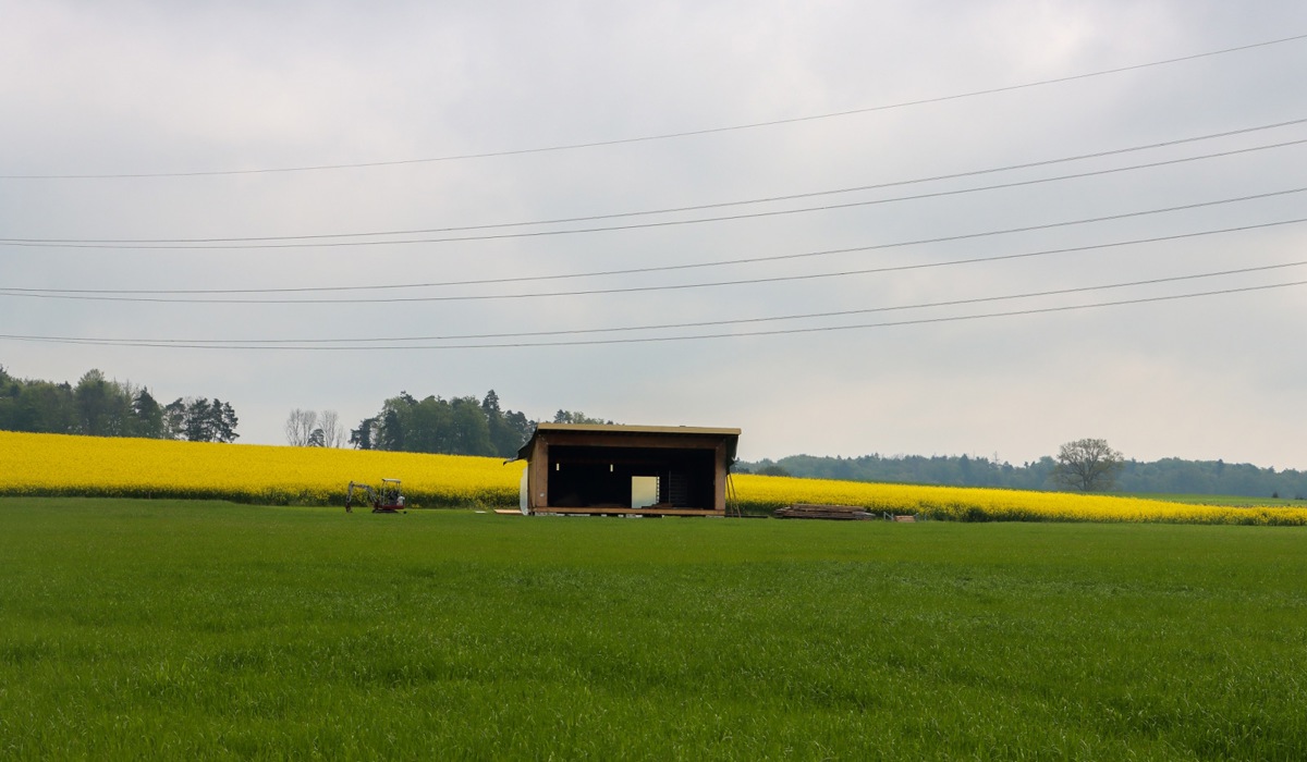 0505_13_ktf_aufbau_tz-113.jpg 0505_13_ktf_aufbau_tz-113.jpg