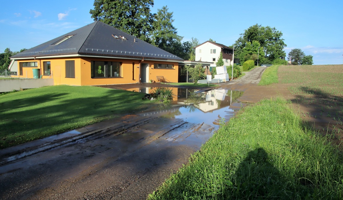 75.jpg