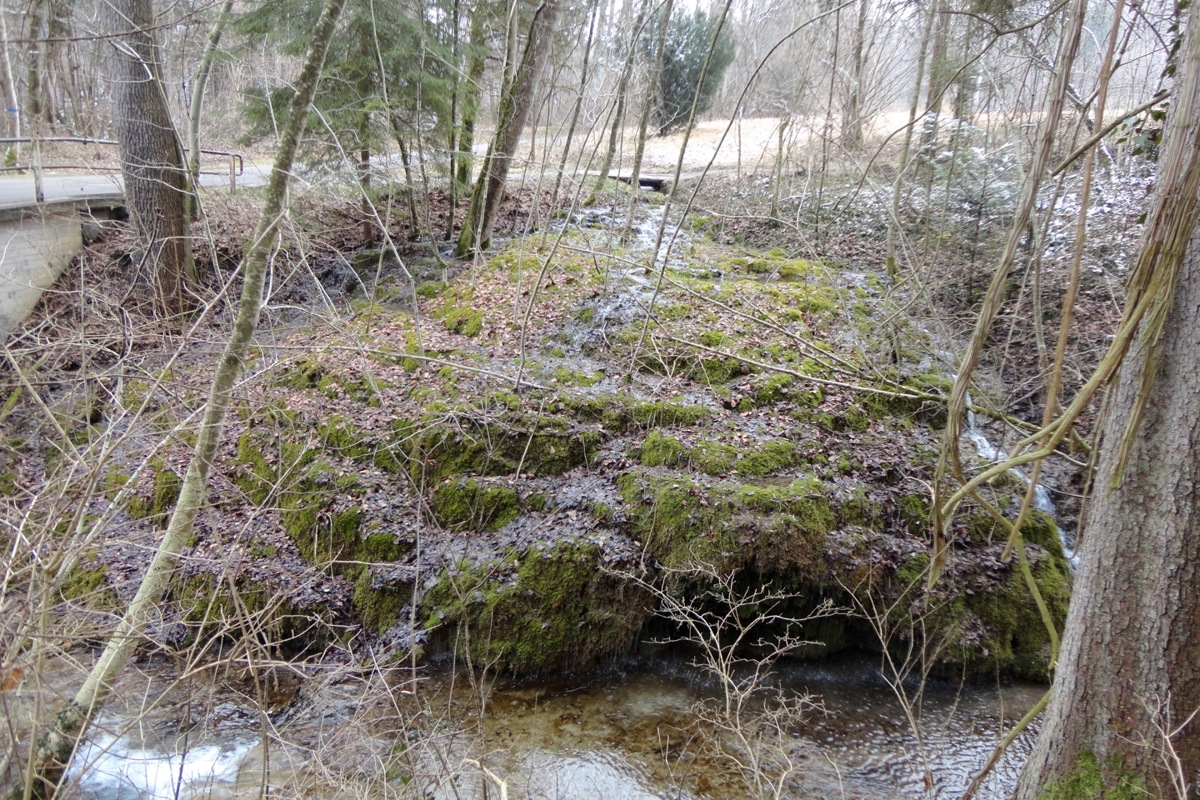 Beim Hostbach kann die Entstehung von Tuffstein im Kleinen beobachtet werden.