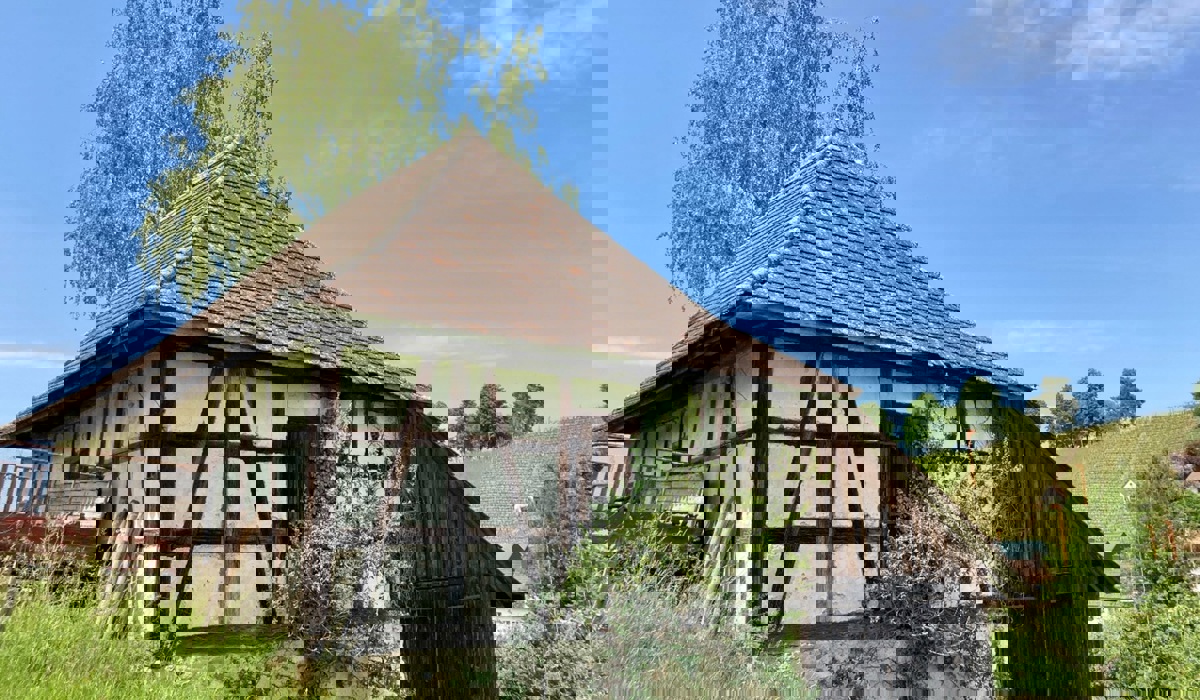 unbenannt28.jpg