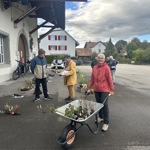 2710 7 Pflanzenumtausch Sm24
