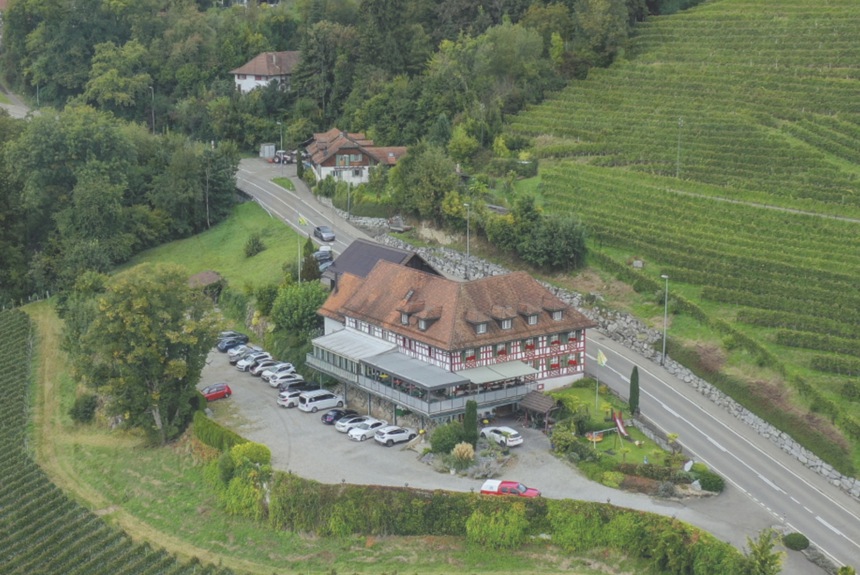 0901 9 Traube Dietingen Zvg18