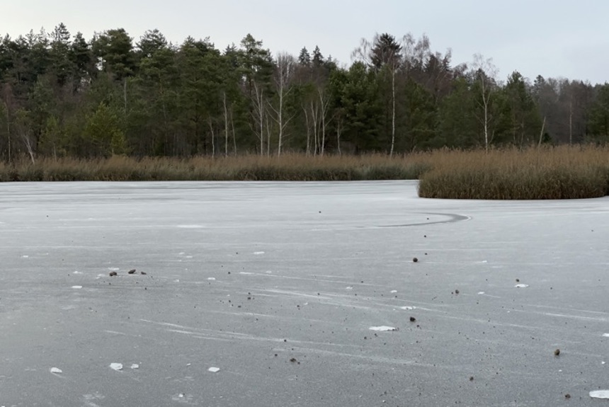0601 3 Barchetsee Sm1