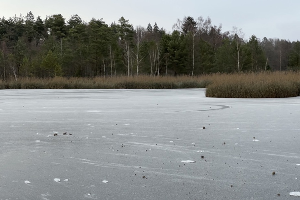Beim Spaziergang nach der Bächtelistagsversammlung machte der Barchetsee Lust aufs Schlittschuhlaufen (aber noch ist das Eis zu dünn!). Kurz zuvor war an der Versammlung schon von der Badesaison 2026 die Rede gewesen: Rechtzeitig vorher muss der Holzboden des Nichtschwimmerabteils ersetzt werden.