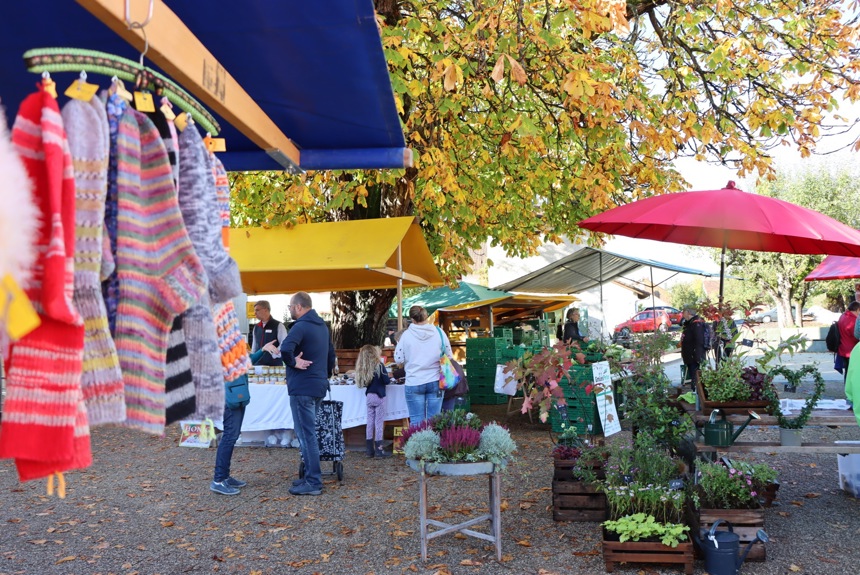 3110 5 Bauernmarkt2022 Sm13