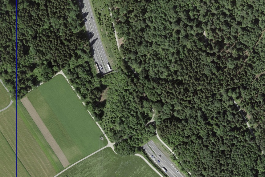 2012 9 Ersatzaufforstung Ausschnitt GIS ZH21 2012 9 Ersatzaufforstung Ausschnitt GIS ZH21