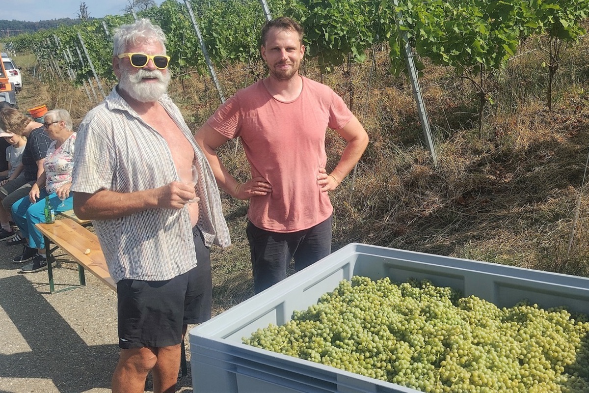 Markus (links) und Thomas Moser aus Winterthur bewirtschaften in Benken Reben gemäss den Vorgaben des biologischen Landbaus. 
