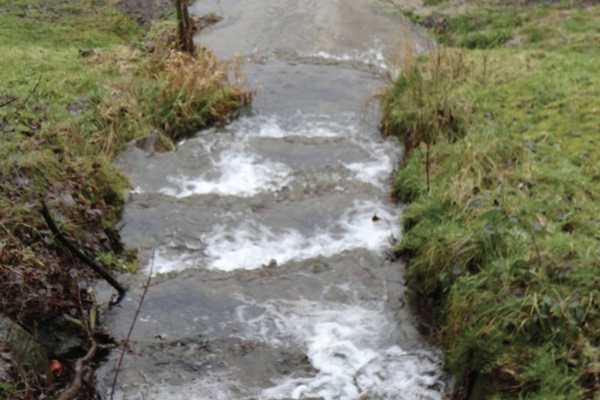 Der Wildbach-Mühlebach unterquert bei der «Andelfinger Zeitung» die Landstrasse und ergiesst sich in die Thur.