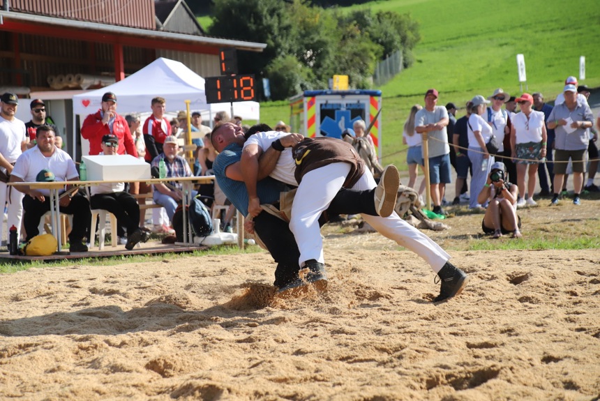 1208 13 Schwingen Zvg7