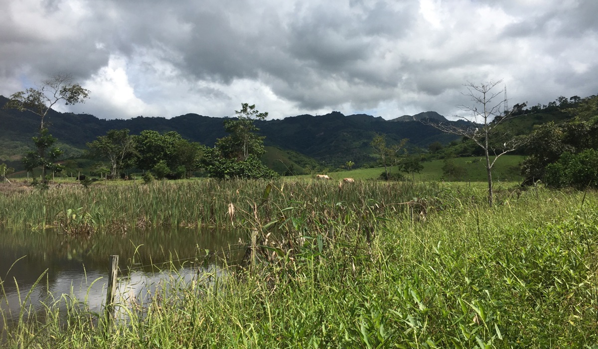 feld_098.jpg feld_098.jpg