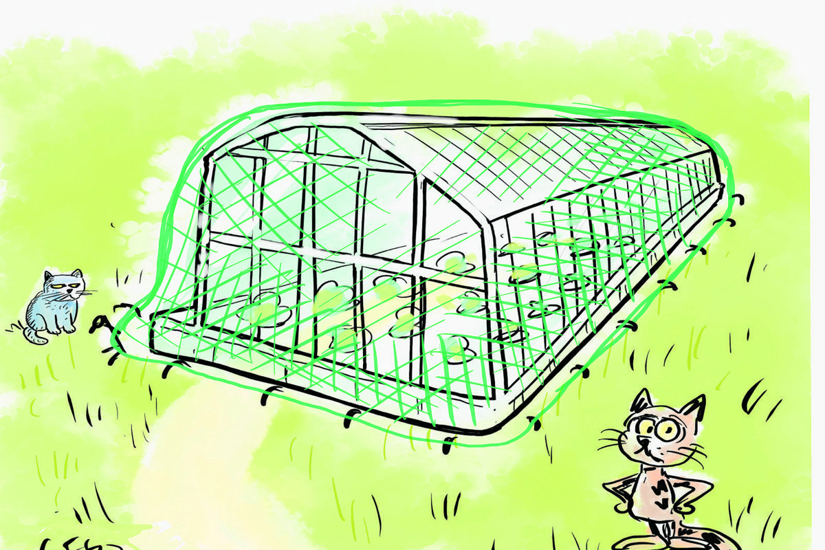 Netze sollen laut dem Veterinäramt Katzen von den Gewächshäusern fernhalten. Der Beschuldigte findet diese Lösung nicht praktikabel.