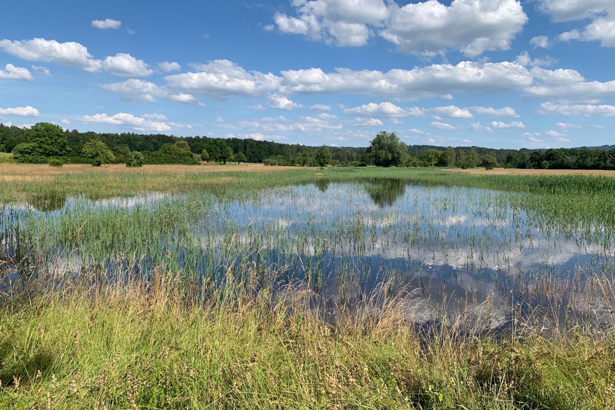 Ellikon am Rhein am letzten Donnerstag: Wasser