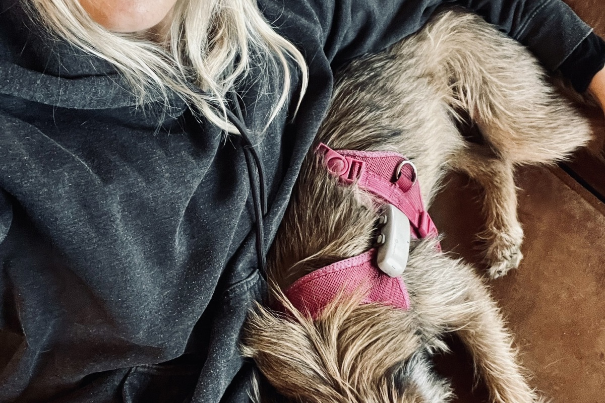 Stefanie Galle darf ihren Hund behalten. Das Gericht argumentierte mit dem Tierschutz – gegen einen Tierschutzverein.