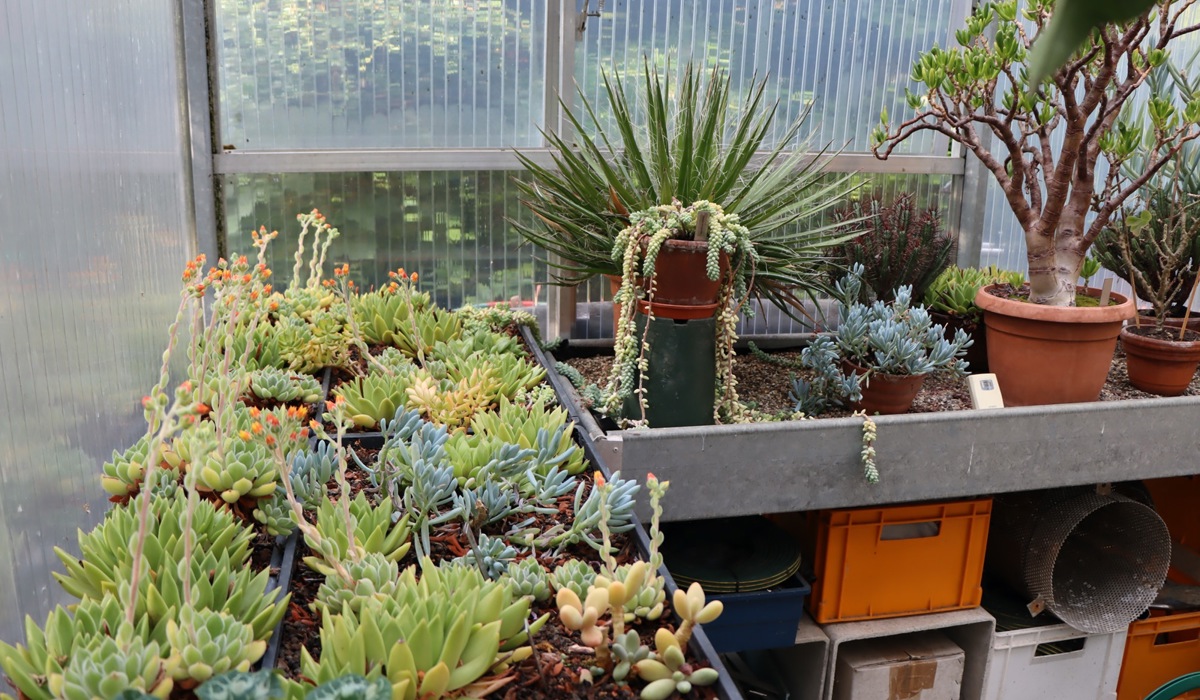 1807_7_garten_scalabrin_alten2_sm17.jpg 1807_7_garten_scalabrin_alten2_sm17.jpg