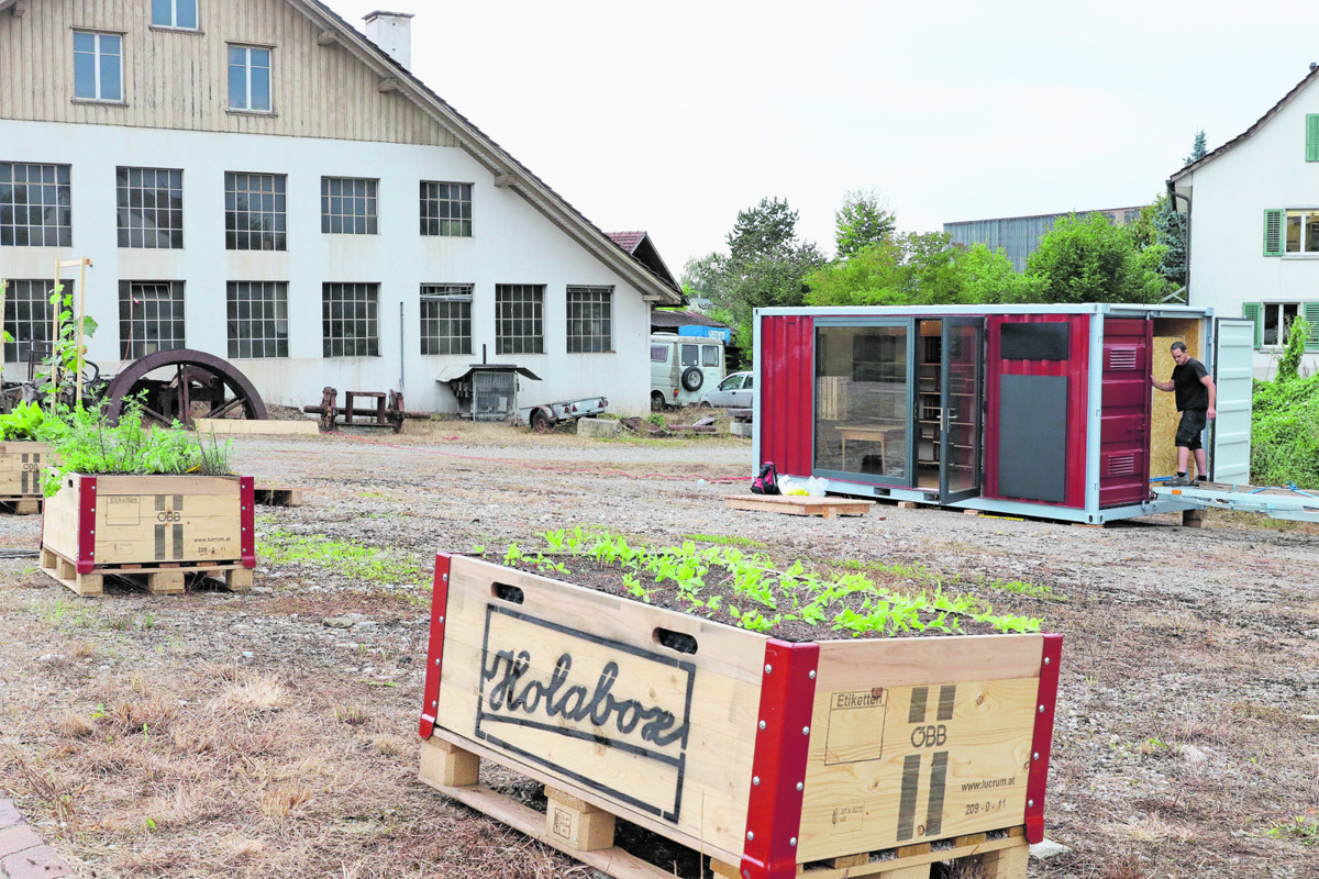 Am Donnerstag wurde die Holabox platziert