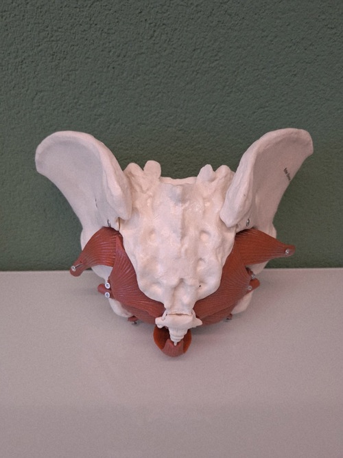 Bildschirmfoto 2026 02 27 Um 10.13.522