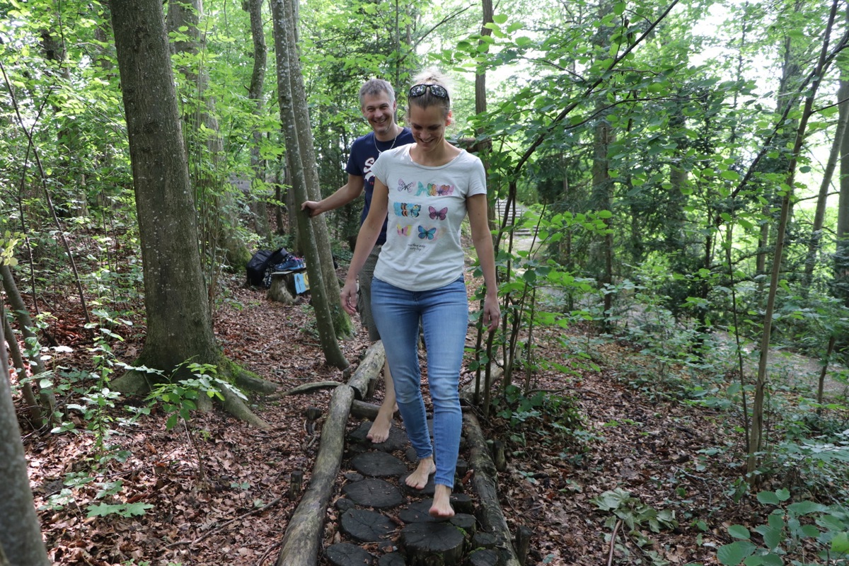 Der Waldparcours beim Mühleberg.
